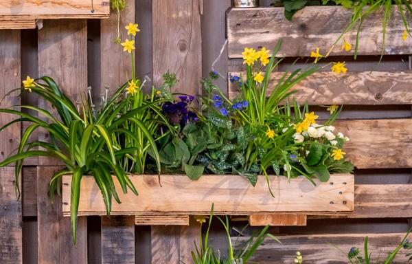 5 idées créatives pour égayer votre espace extérieur avec des pots de fleurs